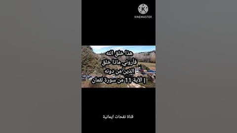 هذا خلق الله فأروني ماذا خلق الذين من دونه #myyearonyoutube2023  | الآية 11 من سورة لقمان