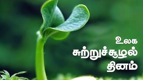 World Environment Day|June 5|உலக சுற்றுச்சூழல் தினம்