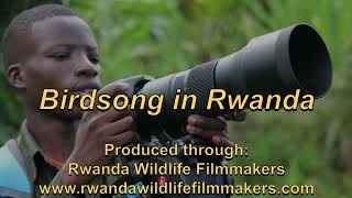 Birdsong in Rwanda by Ravenswood Media 617 views 3 months ago 6 minutes, 47 seconds
