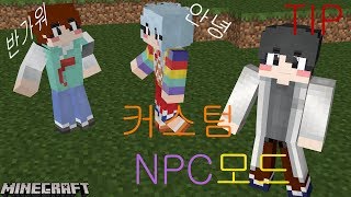 마인크래프트 커스텀 npc모드에 자기 스킨을 넣는다? /마인크래프트 커스텀 npc모드 스킨 강좌 / [후선] 마인크래프트 minecraft - Custom npc mod