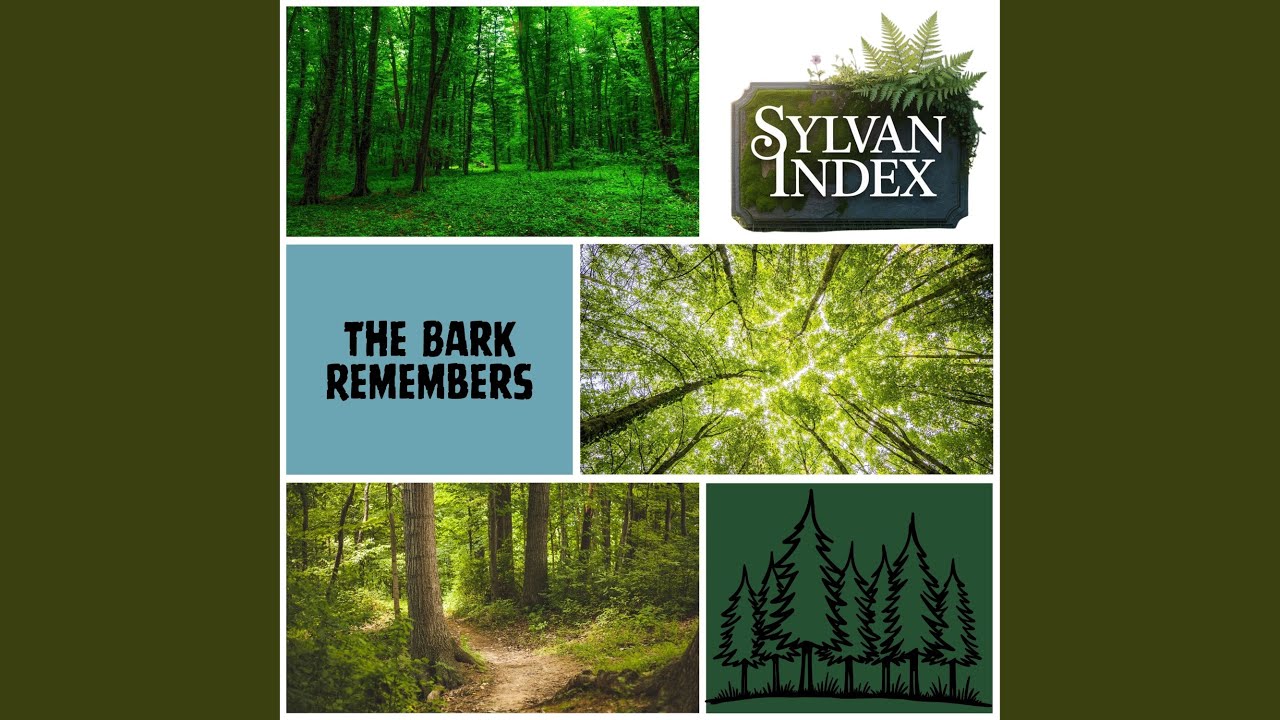 Aquarelle (Whispering Woodland)