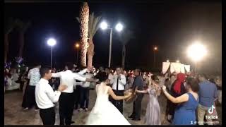 Ali̇ Albayrak Düğün Fi̇ni̇ke Canli