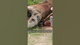 The boat's wood has a hole #pacujalur #fypyoutube #viralvideos