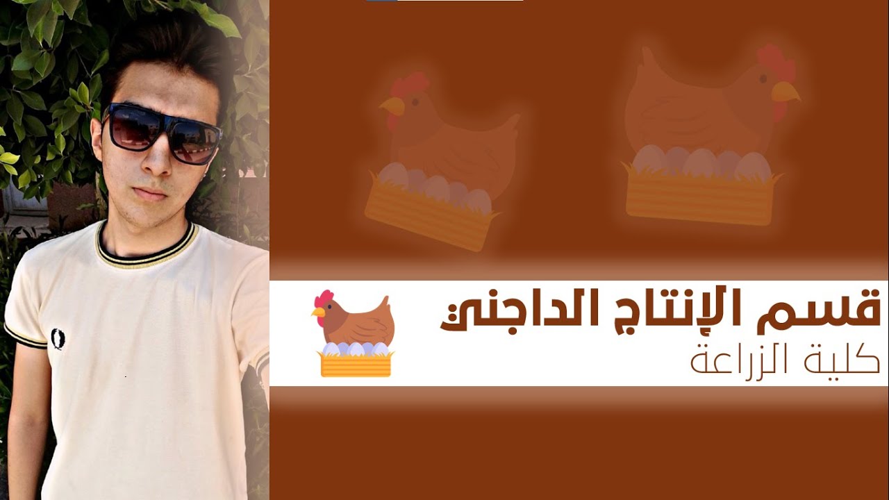 قسم الإنتاج الداجني: من اكتر الاقسام المربحة في سوق العمل! 🤩💵