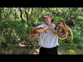 The Python Hunter : AnimalBytesTV
