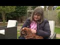 Hownd collaborates with itv news  6 ways to reduce our dogs carbon paw print on the planet