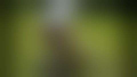 Best Fails of the Week 1 September 2013    FailArmy