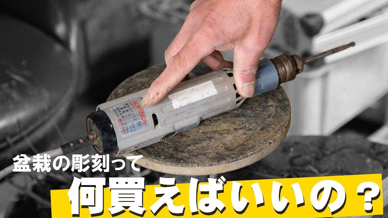 盆栽の彫刻用ルーターは何を買えばいいのか【エイセイQ】