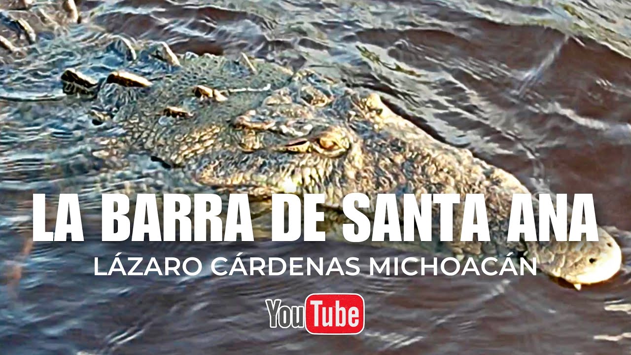 LA BARRA DE SANTA ANA | Santuario de los Cocodrilos (Uriel LZC) - YouTube
