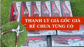 Tét chất lượng kéo cắt cành cộng lực chuyên làm nhà vườn ,bonsai giá tốt nhất - mã kéo 2005