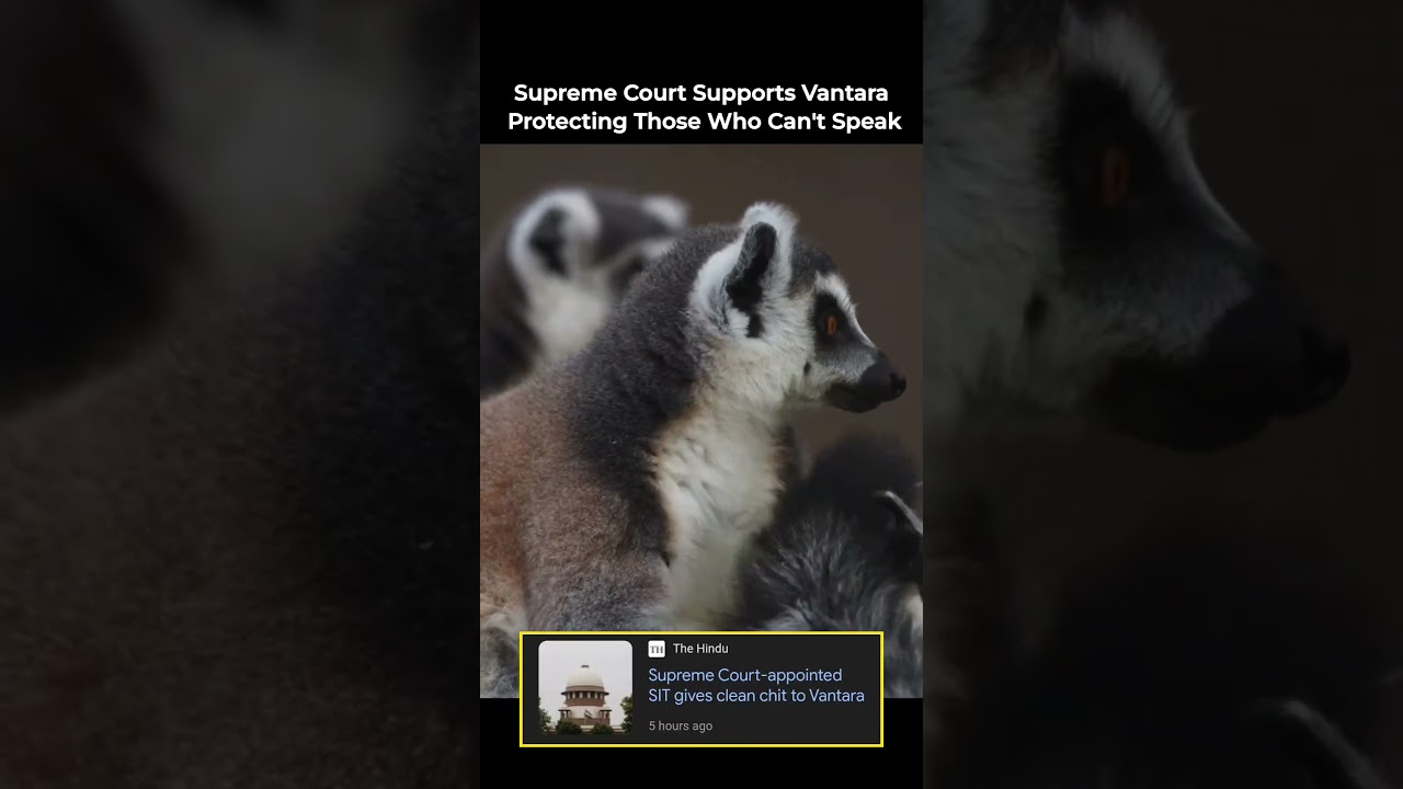 Supreme court has done ❤️‍🩹 