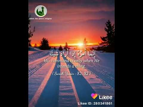 وش😍😍🦄شض - YouTube