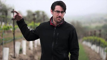 Notes From the Winemaker - Budbreak