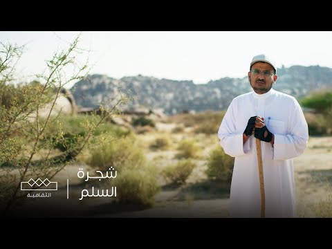 شقائق الخزامى شجرة السلم