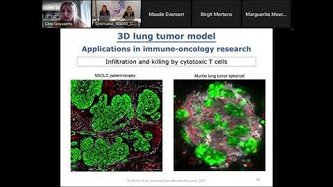 1st Educational Webinar on the development of in vitro models