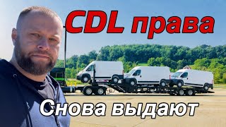 картинка: CDL снова выдают по UFU