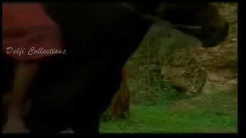 Ayu wandira TT part 3