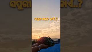 Juicy Pineapple #shorts #pineapple #asmr