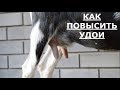 Как повысить удои у коз.