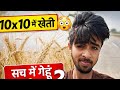 👉 “10×10 जमीन में गेहूं उगाने का चैलेंज 😱 (Part 1)”