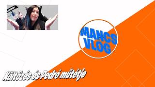 Pedró Műtétje Költözés Elég Mozgalmas Napok Vlog