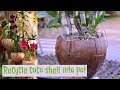 Recycle coconut shell into flower pots.