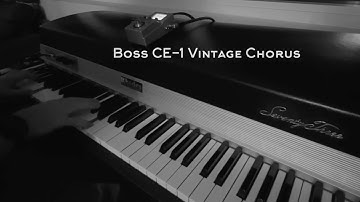 Zoom MS-70cdr on a Rhodes MKI