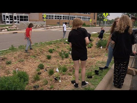 Robbinsdale Middle School Students Plant Rain Garden