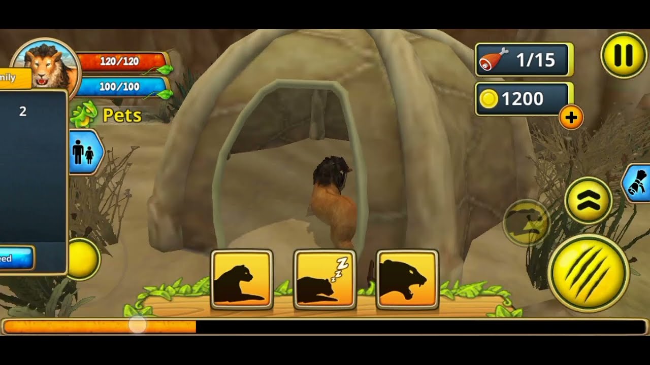 Cartoon the lion king cartoon network lion and another animal cartoon 