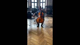 New magnetic cello end-pin: Palette-Pin