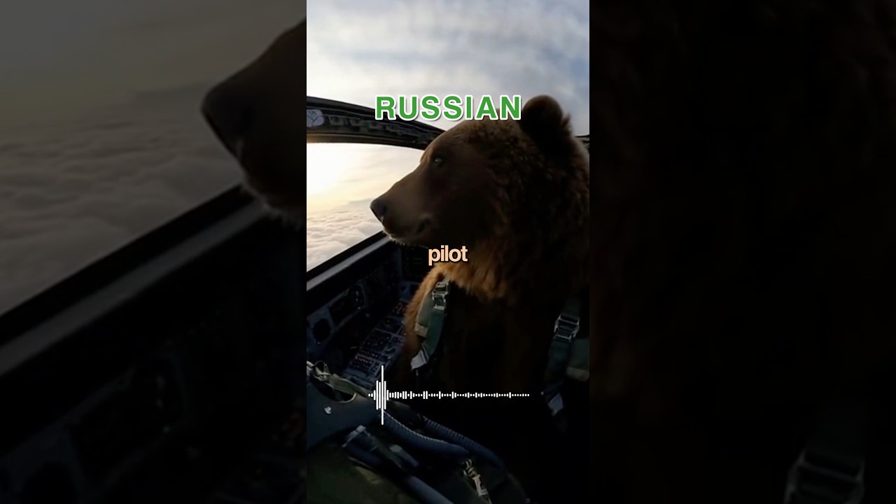 Бомбардировщик B-2 сталкивается с российским пилотом BEAR 😱