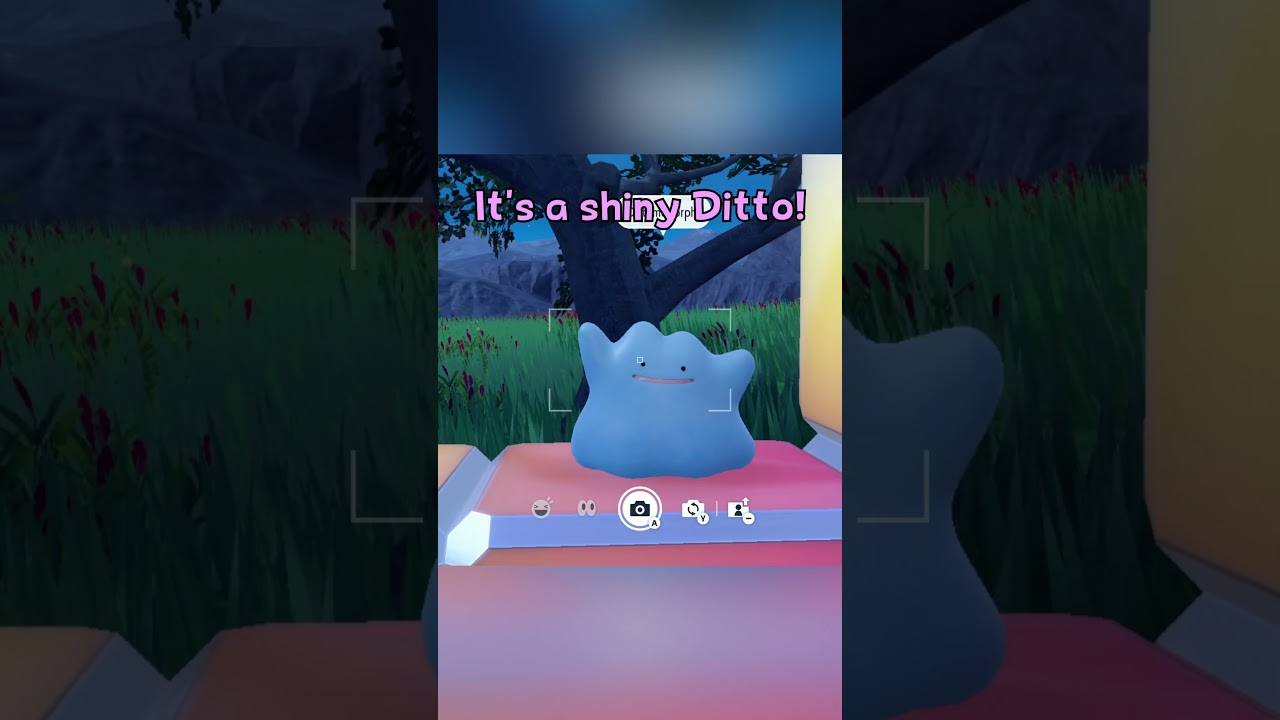 Ditto for Competitive Pokémon Breeding • 6IVs, Shiny, Level 100, Any Nature  Ability Foreign