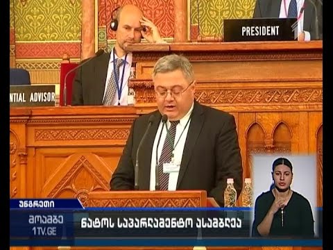 რა საკითხებზე გაამახვილა ყურადღება უსუფაშვილმა ნატო-ს საპარლამენტო ასამბლეის სესიაზე გამოსვლისას