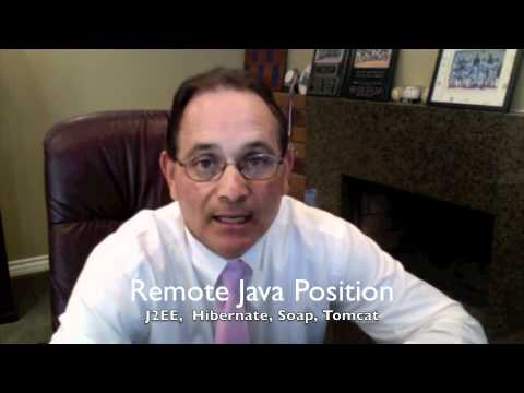 Remote Java Job (Consulting)