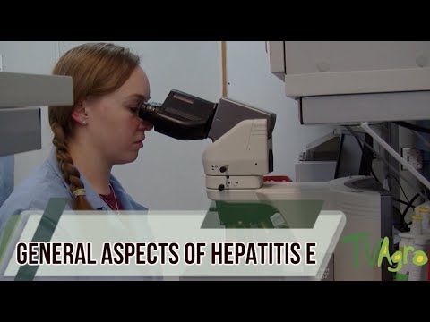 Video: Hepatitis E-virusinfectie Bij Zwangere Vrouwen In Afrika: Systematische Review En Meta-analyse