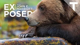 Teaser - Exposed With John E. Marriott