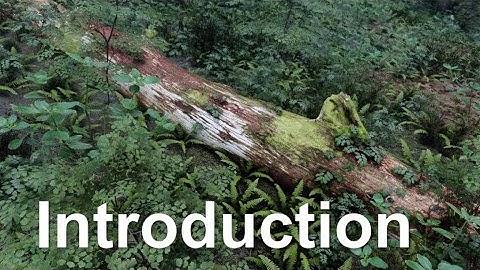 (1/9) Introduction - The Improved Skyrim SE 2021 Next Gen Graphics Tutorial!