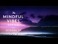 Mindful Vibes - Episode 25 (Jazz Hop / Chill Mix) [HD]
