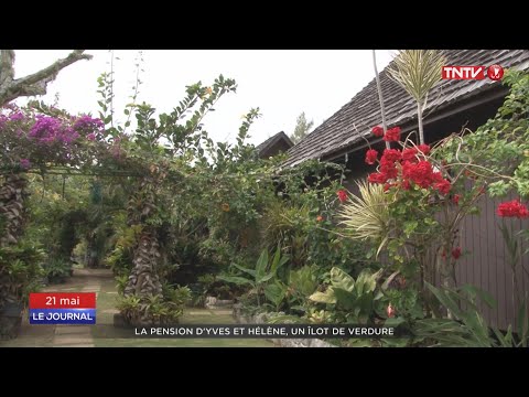 Rurutu : la pension d'Yves et Hélène, un îlot de verdure