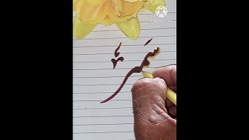 Sameer Name Whatsapp Status | Sameer Name Status #youtubeshorts #shortsfeed #shorts