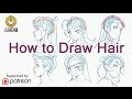 How To Draw Anime Hair, From Construction to Styles!!!