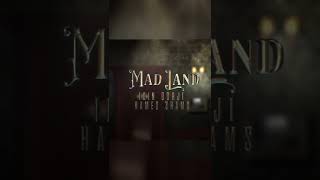 Mad Land - Idin Gorji &amp; Hamed Shams