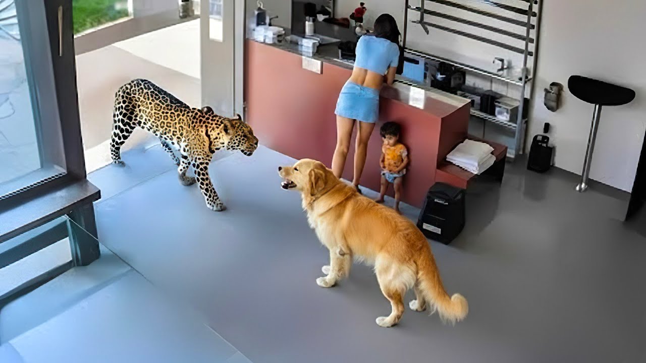 Животные-герои! Невероятные моменты, когда они спасали людей от неминуемой смерти!