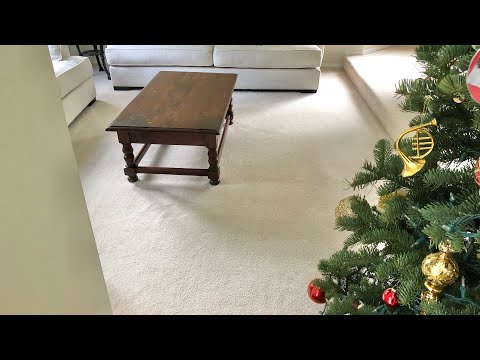 White Carpets VLM