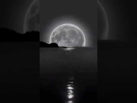 كنت حسس اني طاير من السعاده