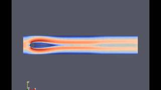Hron - Turek FSI benchmark foam-extend