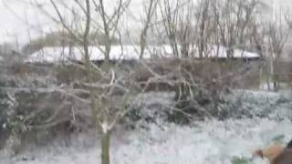Snow Day