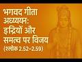 Bhagavad Gita Study: Mastering the Senses and Equilibrium (Verses 2.52-2.59)