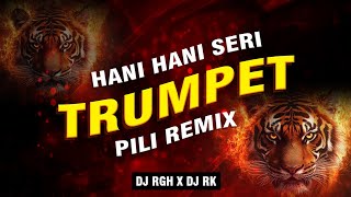 HANI HANI SERI TRUMPET PILI REMIX | DJ RGH X DJ RK | POWER HOUSE VOL 1 
