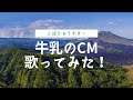 ヒカリノイト / 池田綾子 【ギター弾き語り cover】